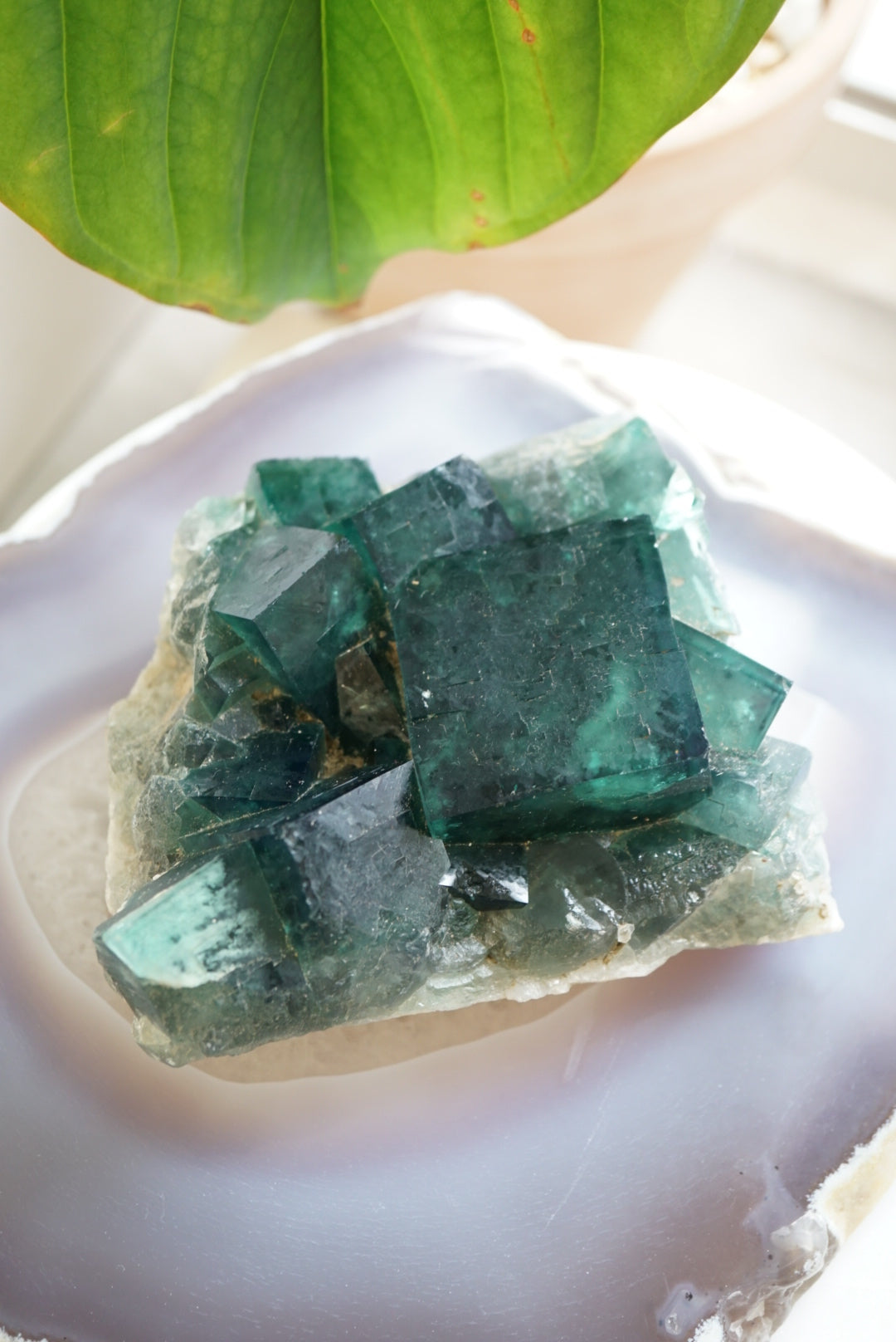 馬達加斯加日光綠螢石原石 Raw Madagascar Green Fluorite