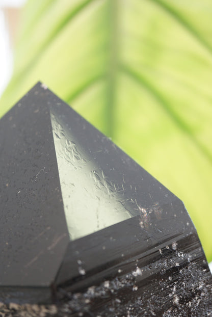 巴西資料庫黑水晶Brazil Black Quartz with Record Keepers - ART OF GEM 