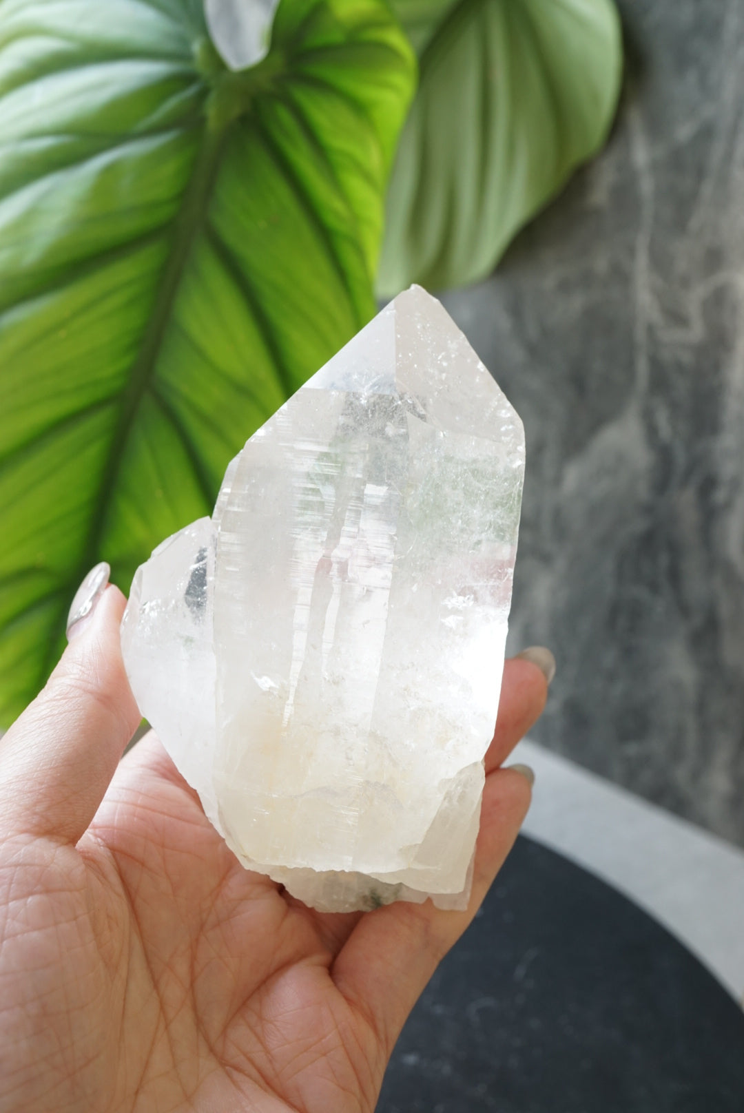 印度喜馬拉雅雙生白水晶共生綠幽靈India Himalayan White Quartz with green phantom