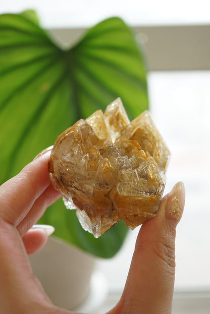 巴基斯坦城堡雙尖黃泥骸骨水晶 Pakistan Fenster Quartz - ART OF GEM 