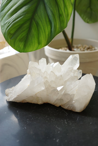 巴西白水晶簇 Brazil White Quartz Cluster - ART OF GEM 