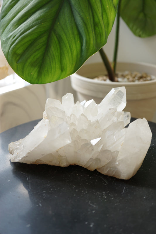 巴西白水晶簇 Brazil White Quartz Cluster