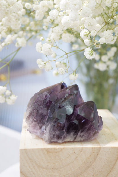 罕有紫晶骸骨骨幹 Rare Amethyst Skeletal Quartz - ART OF GEM 