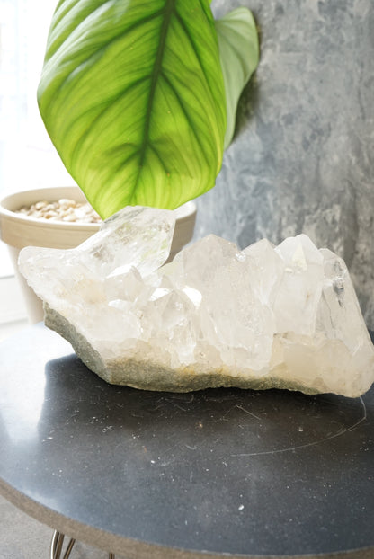 1.78KG 收藏級印度喜馬拉雅白水晶簇 𝑯𝒊𝒎𝒂𝒍𝒂𝒚𝒂𝒏 𝑾𝒉𝒊𝒕𝒆 𝑸𝒖𝒂𝒓𝒕𝒛 𝑪𝒍𝒖𝒔𝒕𝒆𝒓 - ART OF GEM 