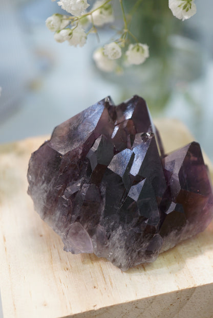 罕有紫晶骸骨骨幹 Rare Amethyst Skeletal Quartz - ART OF GEM 