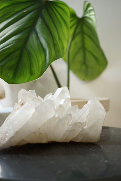 巴西白水晶簇 Brazil White Quartz Cluster - ART OF GEM 
