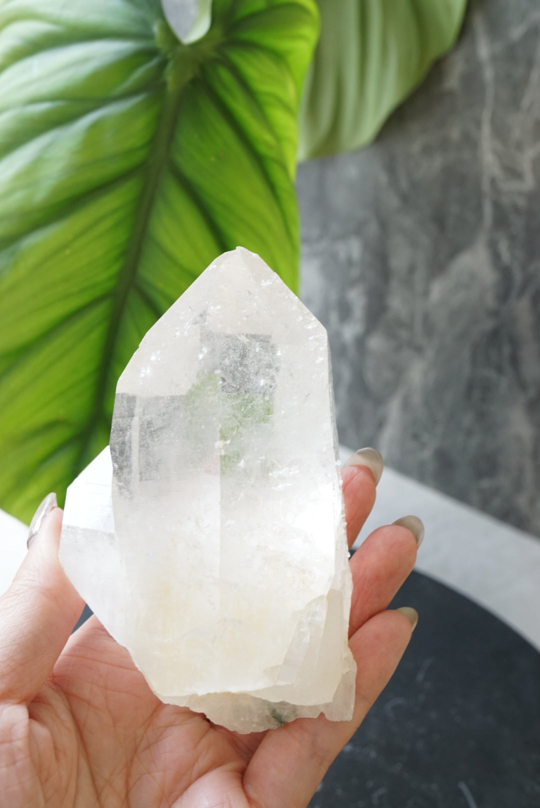 印度喜馬拉雅雙生白水晶共生綠幽靈India Himalayan White Quartz with green phantom