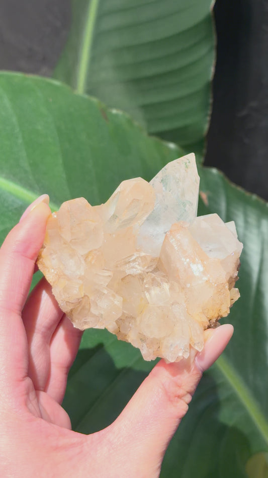 喜馬拉雅白水晶簇 （粉調）