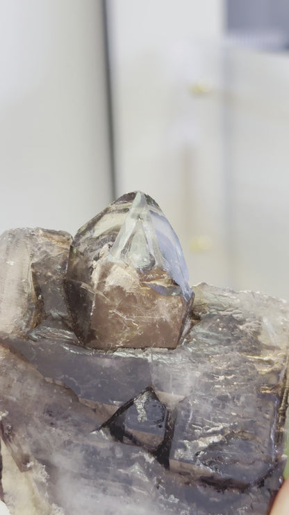 巴西鱷魚骨幹黑水晶 Brazil Black Skeletal Quartz / Elestial Crystal