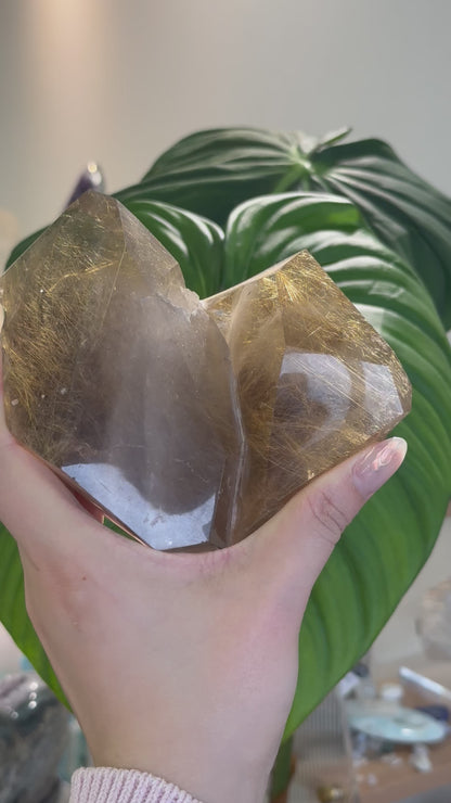 巴西雙生密髮金髮晶簇 Golden Rutiled Quartz Cluster