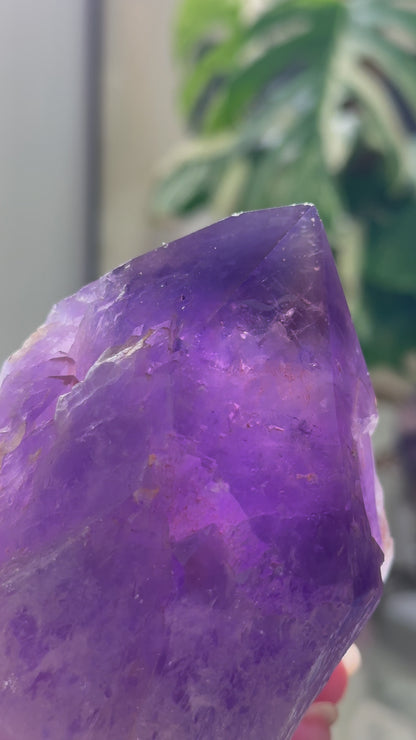 剛果紫黃晶Congo Ametrine