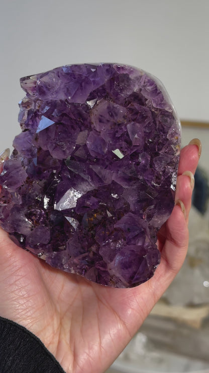 Rare Brazil Amethyst Rutilated Quartz Cluster