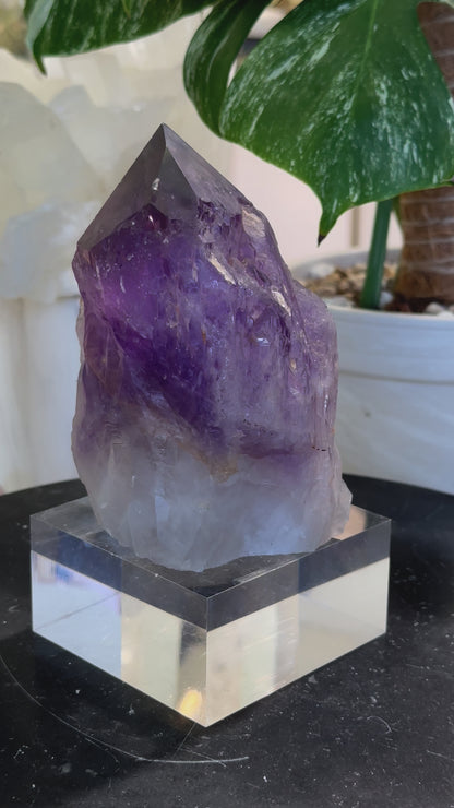 剛果紫黃晶Congo Ametrine