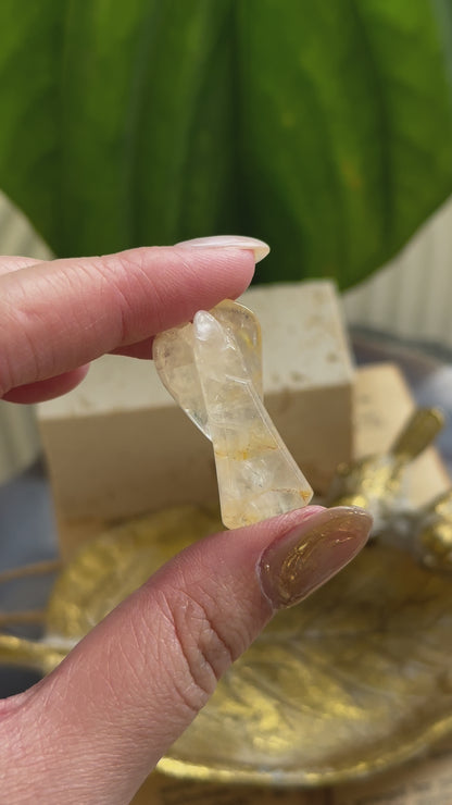 黄金治癒者/黃膠花天使 Golden Healer Angel