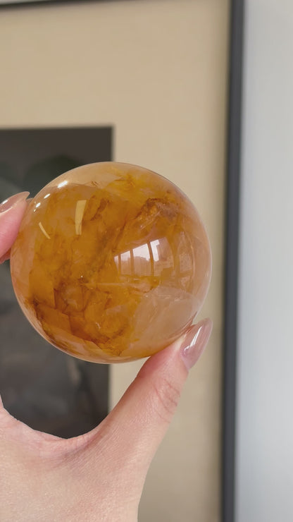 黄金治癒者/黃膠花球 Golden Healer Sphere