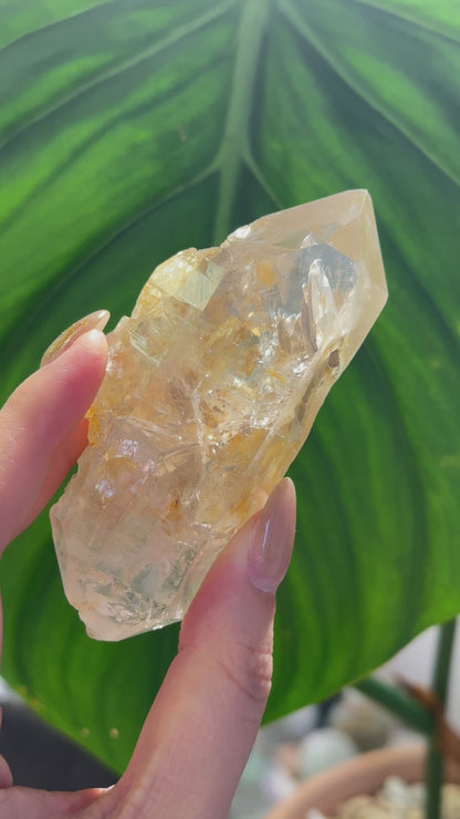 巴基斯坦黃泥骸骨雙尖 Pakistan Fenster Quartz Double Terminate (DT)
