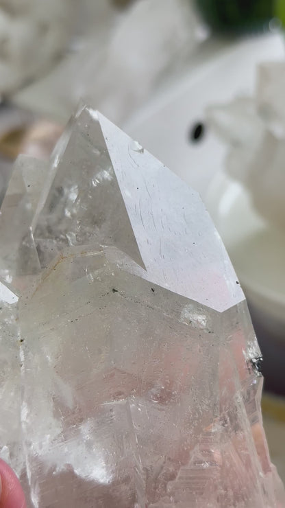 收藏級印度喜馬拉雅白水晶權杖 (帶資料庫) India Himalayan White Quartz Scepter with record keeper