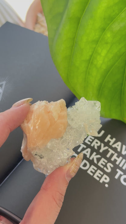 Top quality 印度鑽石魚眼晶簇共生沸石 Raw India Diamond Apophyllite with stilbite