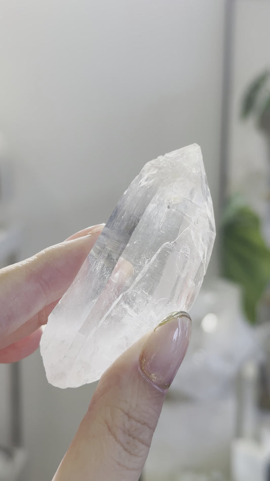 巴西雷姆尼亞種子白水晶 Lemurian Seed Crystal