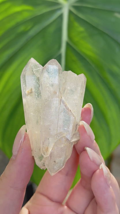 印度喜馬拉雅白水晶 India Himalayan White Quartz