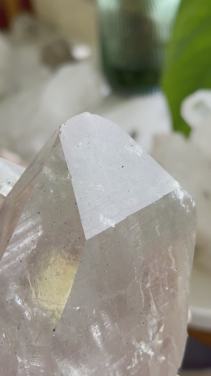 收藏級印度喜馬拉雅白水晶權杖 (帶資料庫) India Himalayan White Quartz Scepter with record keeper