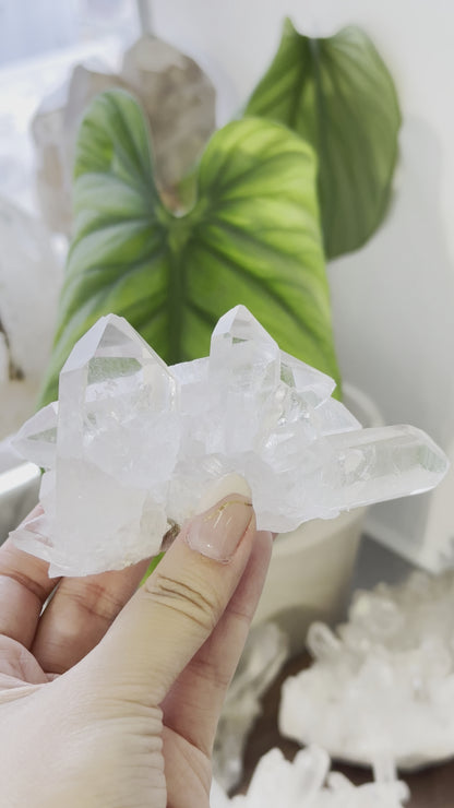巴西雙尖白水晶簇 Brazil White Quartz Cluster