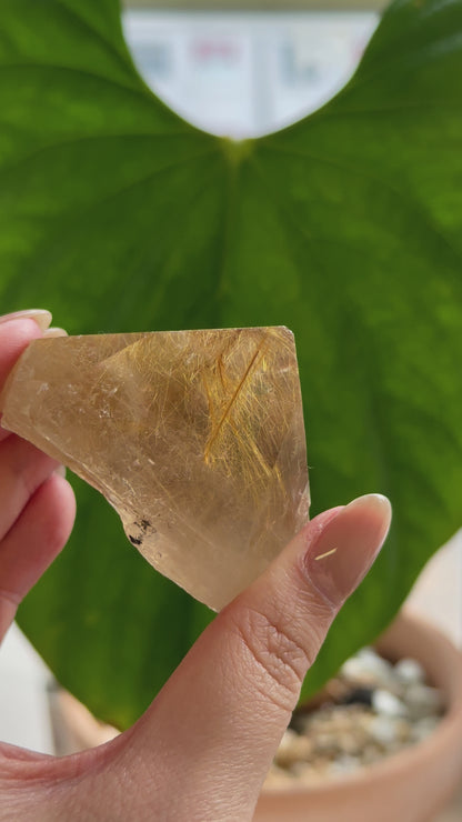 巴西金髮晶原石 Raw Brazil Golden Rutiled Quartz