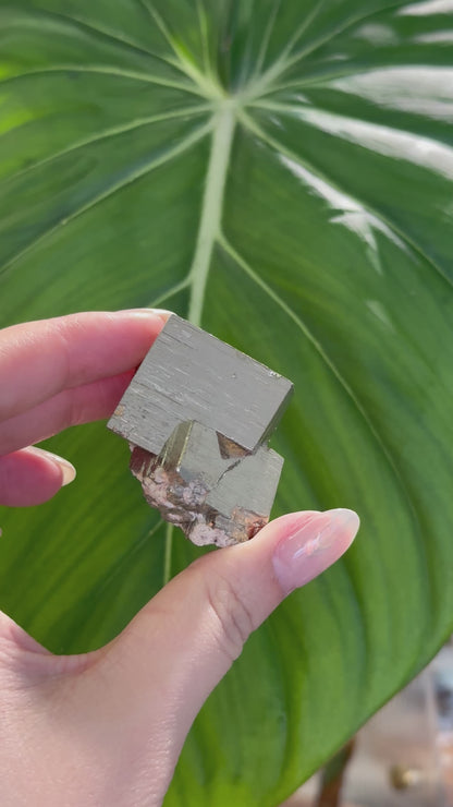 秘魯黃鐵礦原石 Raw Peru Pyrite