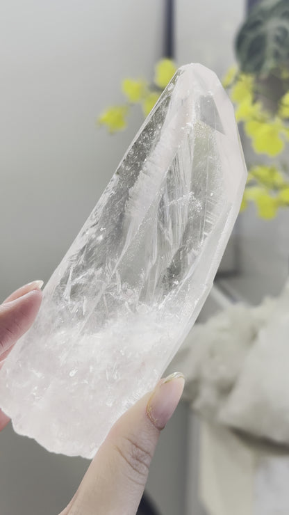巴西雷姆尼亞種子白水晶