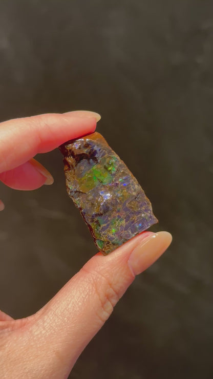 加拿大班彩 Canada Ammolite