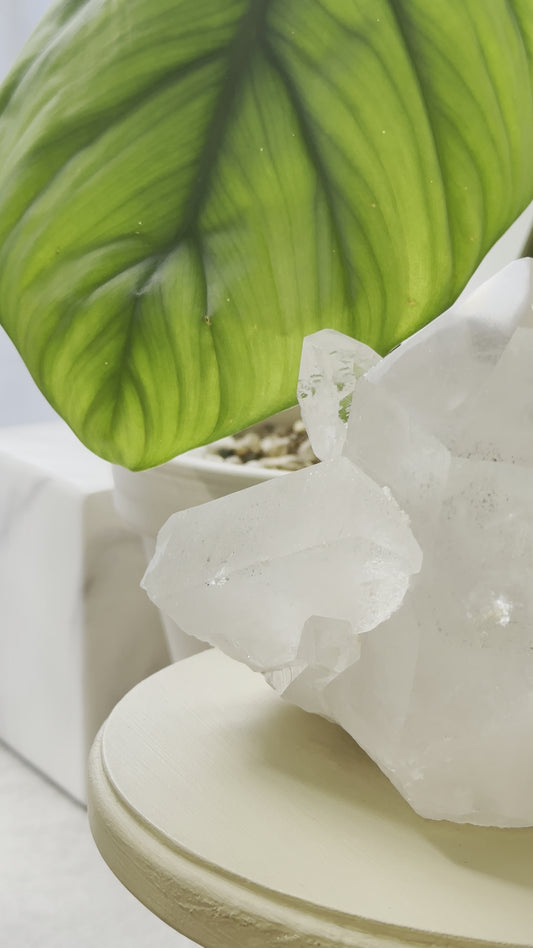 巴西白水晶簇共生綠幽靈 Brazil White Quartz Cluster with green phantom