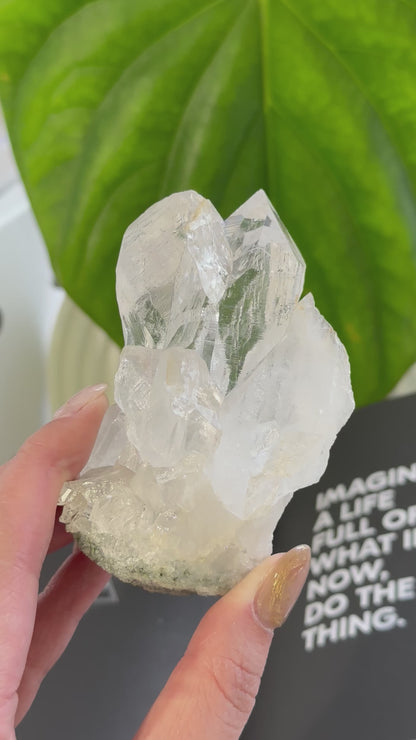 印度喜馬拉雅白水晶 India Himalayan White Quartz