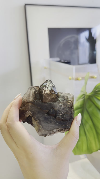 巴西鱷魚骨幹黑水晶 Brazil Black Skeletal Quartz / Elestial Crystal