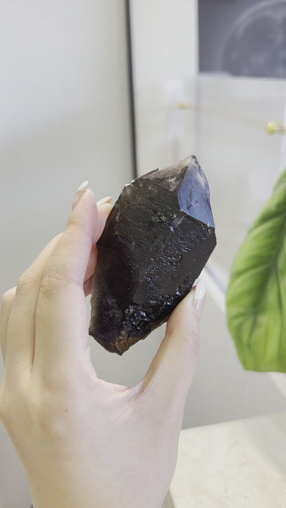 巴西鱷魚骨幹黑水晶 Brazil Black Skeletal Quartz / Elestial Crystal