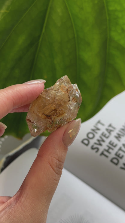巴基斯坦黃泥骸骨水晶 Pakistan Fenster Quartz