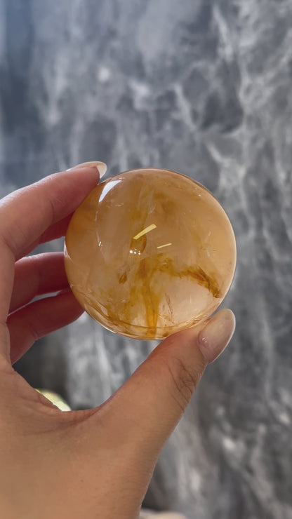 黄金治癒者/黃膠花球 Golden Healer Sphere