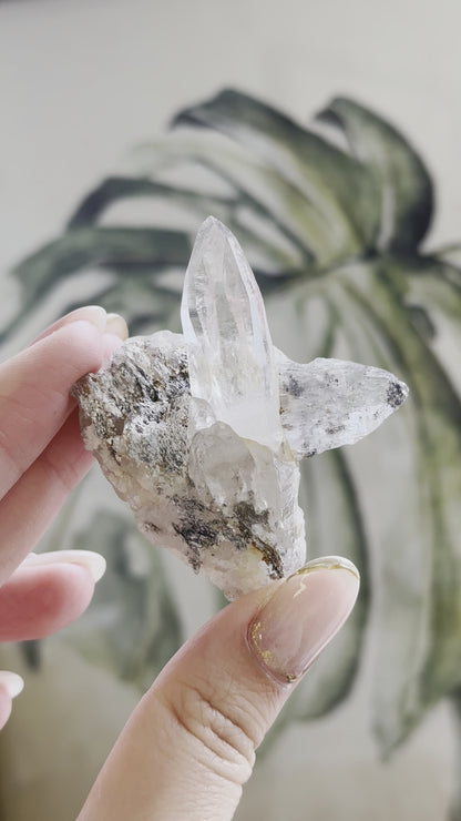 尼泊爾喜馬拉雅雙生白水晶 Nepal Himalayan white quartz