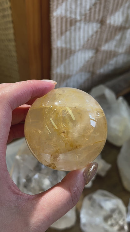黄金治癒者/黃膠花球 Golden Healer Sphere