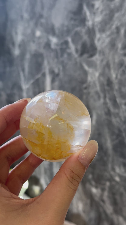 黄金治癒者/黃膠花球 Golden Healer Sphere