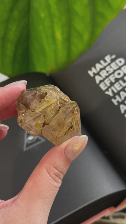 巴基斯坦黃泥骸骨水晶 Pakistan Fenster Quartz