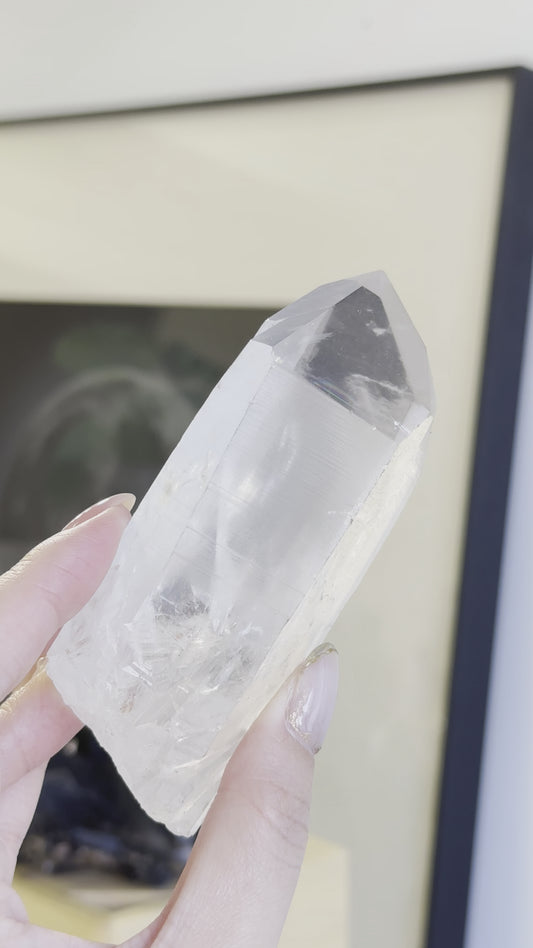 巴西雷姆尼亞種子白水晶 Lemurian Seed Crystal