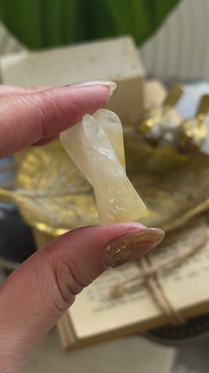黄金治癒者/黃膠花天使 Golden Healer Angel
