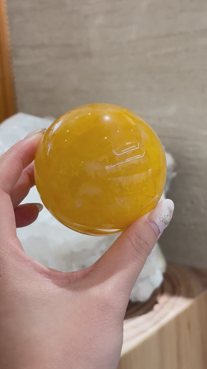 黄金治癒者/黃膠花球 Golden Healer Sphere