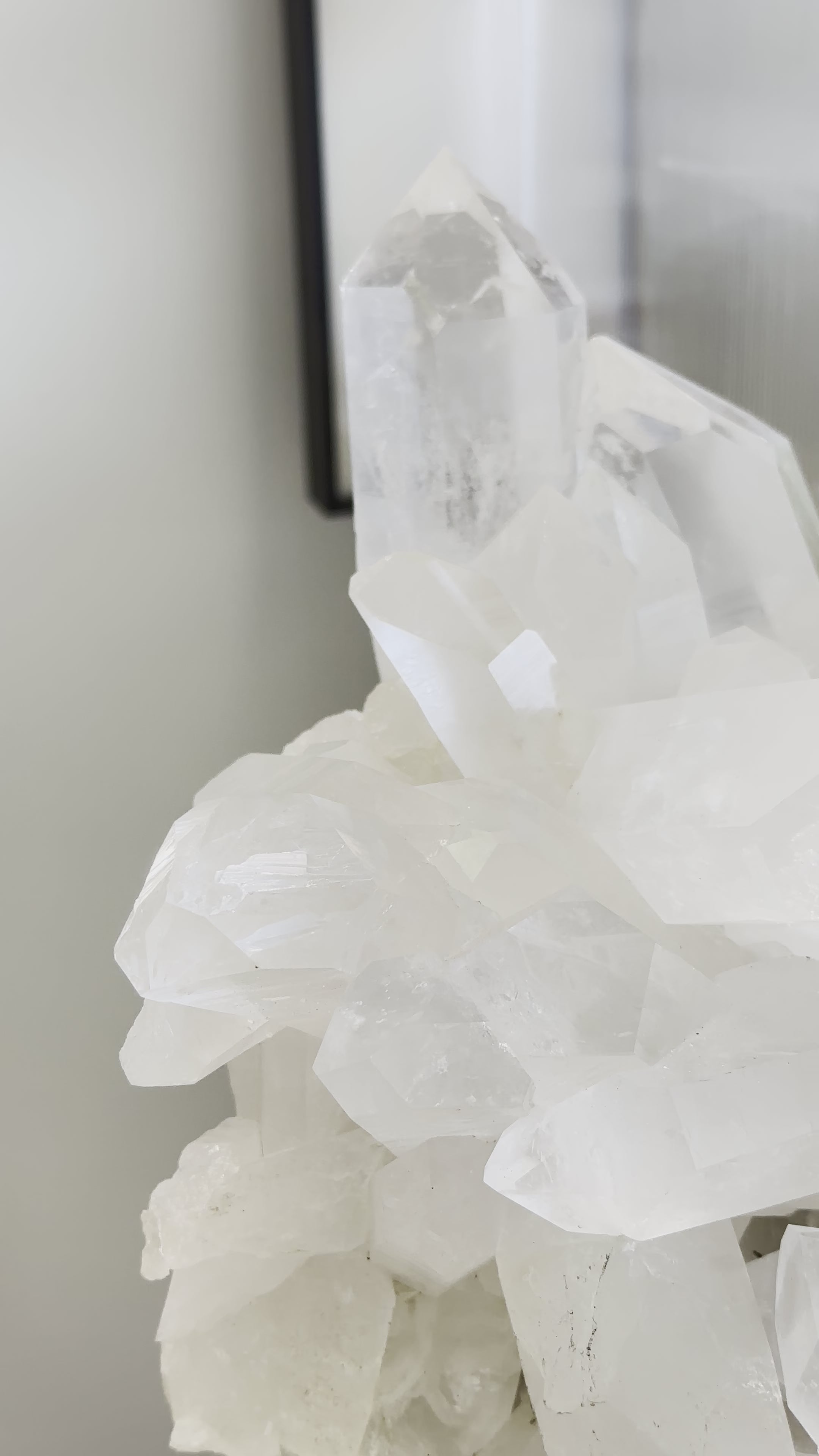 f9f6791661234c1f8bcc14b9e9d96d