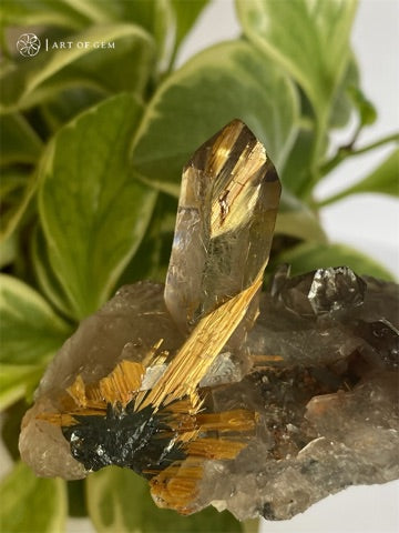 巴西金鈦晶簇 - ART OF GEM 