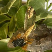 巴西金鈦晶簇 - ART OF GEM 