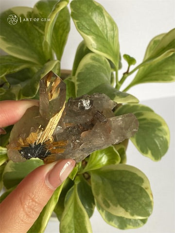 巴西金鈦晶簇  Golden Rutilated Quartz Cluster