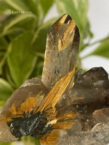 巴西金鈦晶簇  Golden Rutilated Quartz Cluster