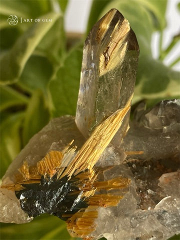 巴西金鈦晶簇  Golden Rutilated Quartz Cluster