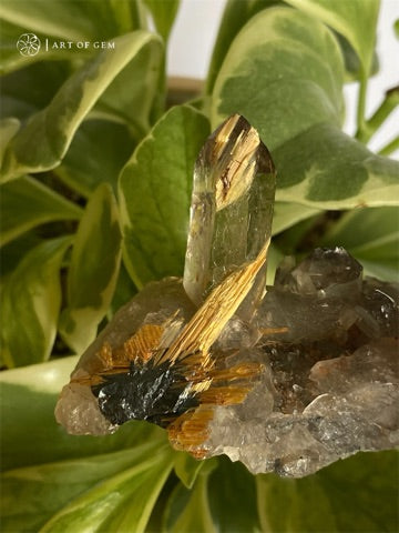 巴西金鈦晶簇  Golden Rutilated Quartz Cluster